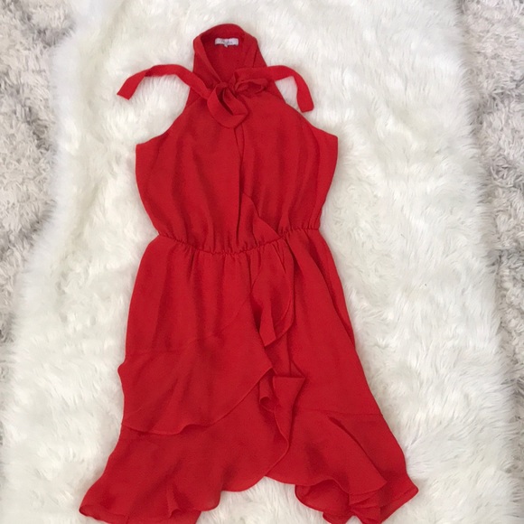 Parker Diane Fit and Flare dress - Picture 3 of 8